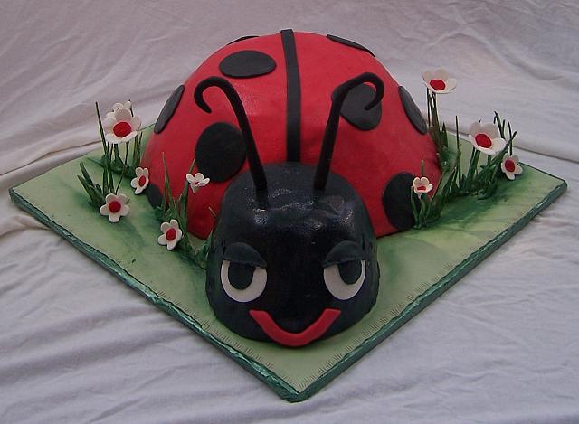Front view of ladybug birthday cake with edible gumpaste decorations.  Ladybug was frosted in real italian buttercream and then covered with red fondant.