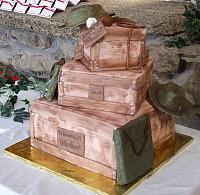 Indiana Jones wedding cake for Jessi Simek and Patrick McMahon